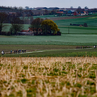 Foto zu dem Text "Wind und Kemmelberg sollen Massensprints in Wevelgem verhindern"