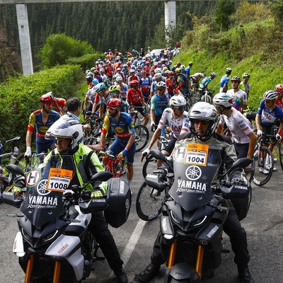 Foto zu dem Text "Vingegaard, Evenepoel und Roglic schwer gestürzt und raus"