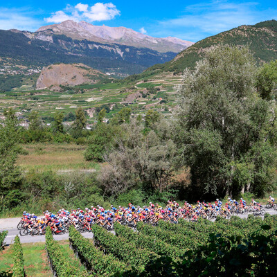 Foto zu dem Text "UCI disqualifiziert fünf Teams bei Tour de Romandie Féminin"