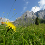 Weiteres Foto - mit Klick vergrößern