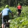 Weiteres Foto - mit Klick vergrößern