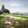 Weiteres Foto - mit Klick vergrößern