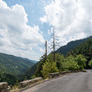 Weiteres Foto - mit Klick vergrößern