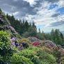 Weiteres Foto - mit Klick vergrößern