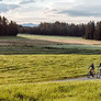 Weiteres Foto - mit Klick vergrößern