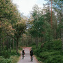 Weiteres Foto - mit Klick vergrößern